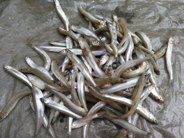 连云港化工产业园发力“产业链招商”:火狐电竞(图2) 火狐电竞