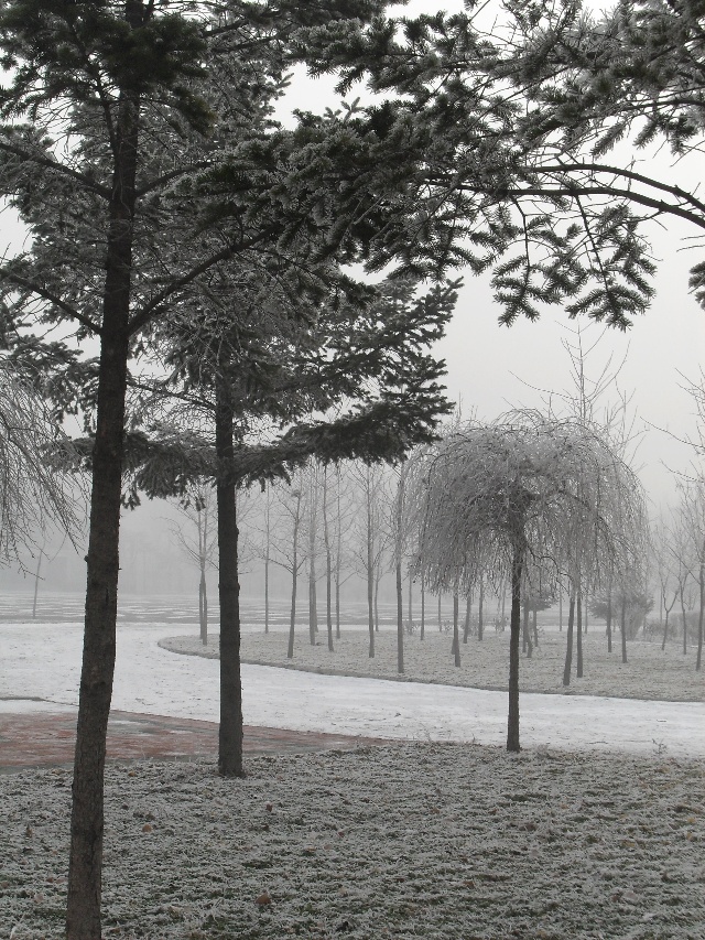 阿盟谴责沙特驻伊朗使领馆遇袭事件:将一致应对:火狐电竞(图2) 火狐电竞平台