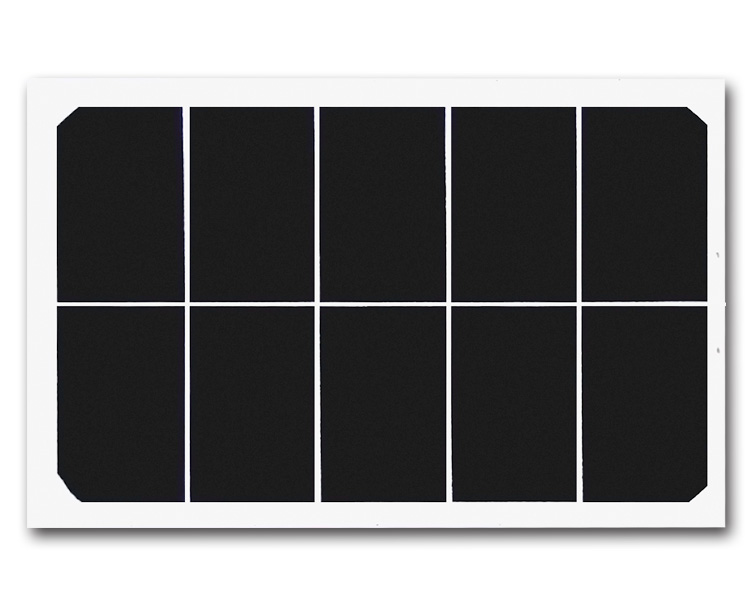 胎菊花茶的功效与禁忌有哪些‘火狐电竞官网’(图1) 火狐电竞官网