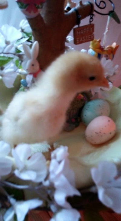 (08月19日)5月哈对华出口天然气31亿立方‘火狐电竞平台’(图3) 火狐电竞官网