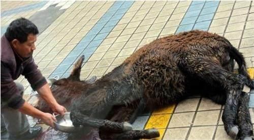 ‘火狐电竞’(09月28日)兖矿千亿煤制油项目前途未卜(图3) 火狐电竞官网