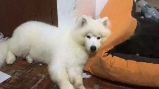 (05月06日)山西180万吨煤制油项目即将核准【火狐电竞】(图2) 火狐电竞